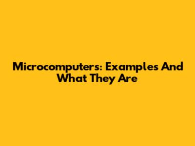 Microcomputers: Examples And What They Are