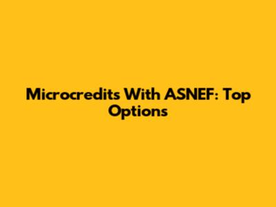 Microcredits With ASNEF: Top Options