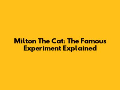 Milton The Cat: The Famous Experiment Explained