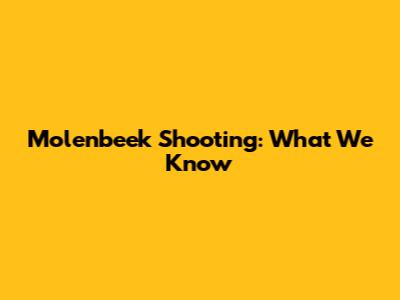 Molenbeek Shooting: What We Know