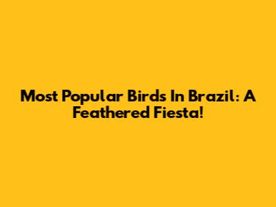 Most Popular Birds In Brazil: A Feathered Fiesta!