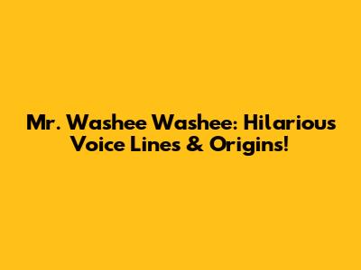 Mr. Washee Washee: Hilarious Voice Lines & Origins!