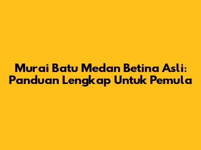 Murai Batu Medan Betina Asli: Panduan Lengkap Untuk Pemula