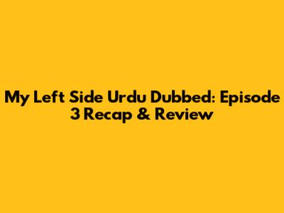 My Left Side Urdu Dubbed: Episode 3 Recap & Review