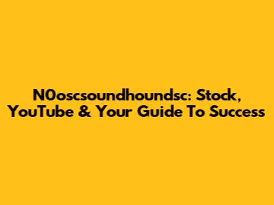 N0oscsoundhoundsc: Stock, YouTube & Your Guide To Success