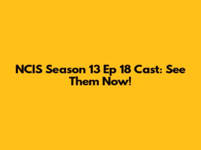 NCIS Season 13 Ep 18 Cast: See Them Now!