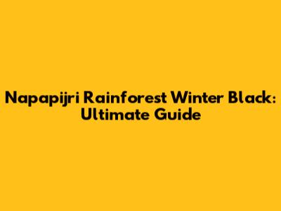 Napapijri Rainforest Winter Black: Ultimate Guide