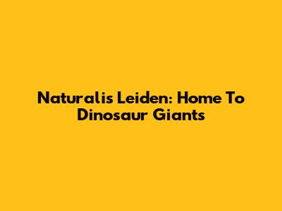 Naturalis Leiden: Home To Dinosaur Giants
