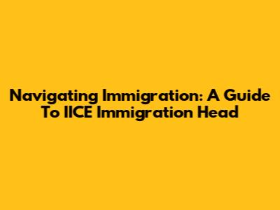 Navigating Immigration: A Guide To IICE Immigration Head