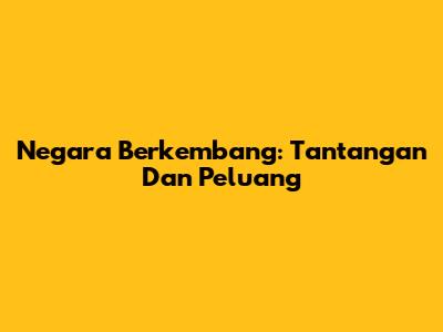 Negara Berkembang: Tantangan Dan Peluang