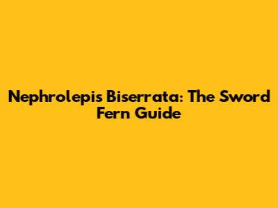 Nephrolepis Biserrata: The Sword Fern Guide