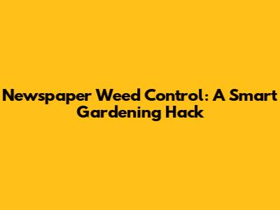Newspaper Weed Control: A Smart Gardening Hack