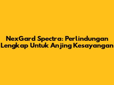 NexGard Spectra: Perlindungan Lengkap Untuk Anjing Kesayangan