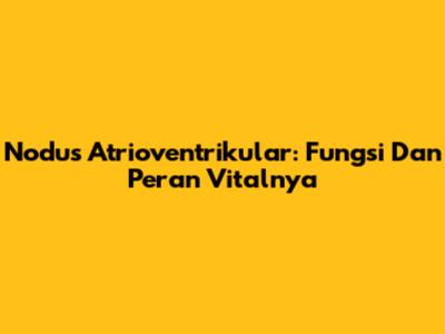 Nodus Atrioventrikular: Fungsi Dan Peran Vitalnya