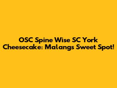 OSC Spine Wise SC York Cheesecake: Malang's Sweet Spot!