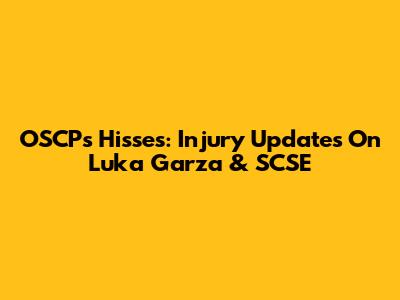 OSCP's Hisses: Injury Updates On Luka Garza & SCSE