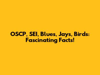 OSCP, SEI, Blues, Jays, Birds: Fascinating Facts!