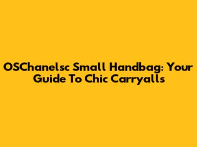 OSChanelsc Small Handbag: Your Guide To Chic Carryalls