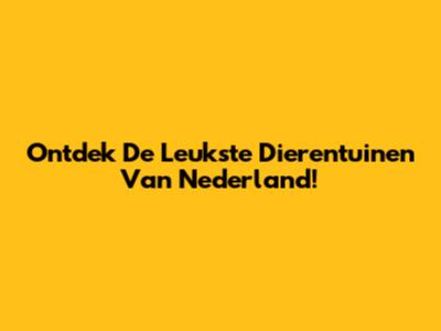 Ontdek De Leukste Dierentuinen Van Nederland!
