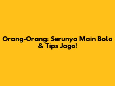 Orang-Orang: Serunya Main Bola & Tips Jago!