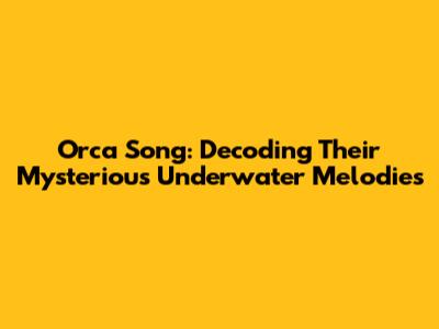 Orca Song: Decoding Their Mysterious Underwater Melodies