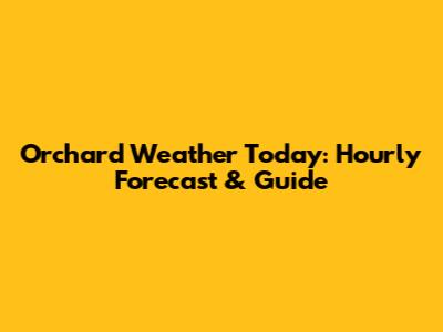 Orchard Weather Today: Hourly Forecast & Guide