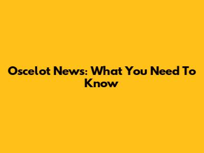 Oscelot News: What You Need To Know