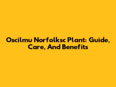 Oscilmu Norfolksc Plant: Guide, Care, And Benefits