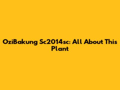 OziBakung Sc2014sc: All About This Plant