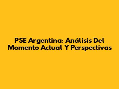 PSE Argentina: Análisis Del Momento Actual Y Perspectivas