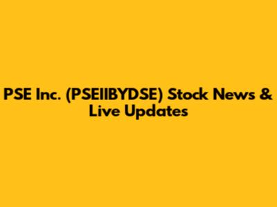PSE Inc. (PSEIIBYDSE) Stock News & Live Updates