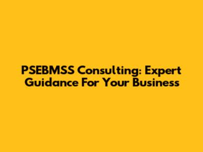 PSEBMSS Consulting: Expert Guidance For Your Business