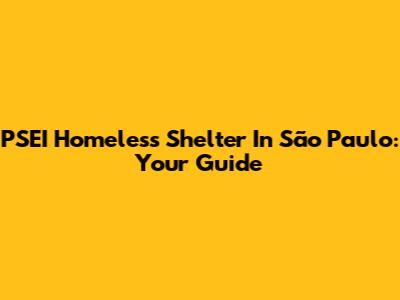 PSEI Homeless Shelter In São Paulo: Your Guide