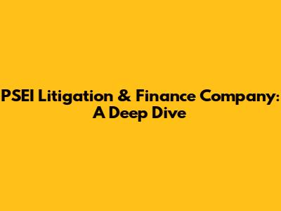 PSEI Litigation & Finance Company: A Deep Dive