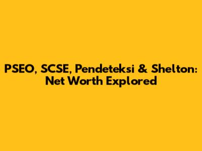 PSEO, SCSE, Pendeteksi & Shelton: Net Worth Explored
