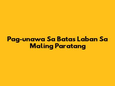Pag-unawa Sa Batas Laban Sa Maling Paratang