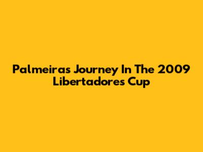 Palmeiras' Journey In The 2009 Libertadores Cup