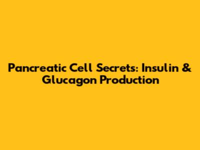 Pancreatic Cell Secrets: Insulin & Glucagon Production