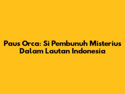 Paus Orca: Si Pembunuh Misterius Dalam Lautan Indonesia
