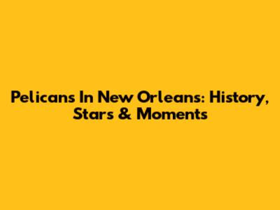 Pelicans In New Orleans: History, Stars & Moments