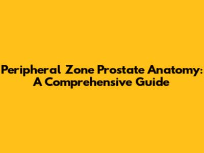 Peripheral Zone Prostate Anatomy: A Comprehensive Guide