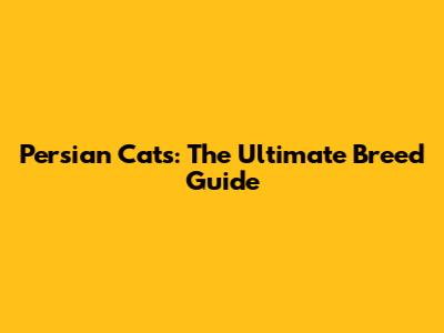 Persian Cats: The Ultimate Breed Guide