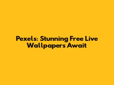 Pexels: Stunning Free Live Wallpapers Await