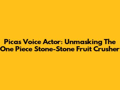 Pica's Voice Actor: Unmasking The One Piece Stone-Stone Fruit Crusher