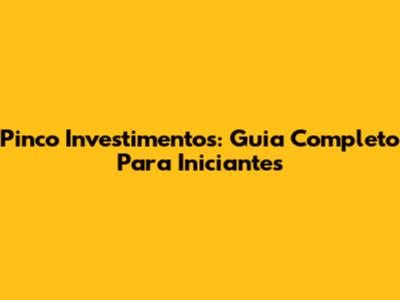 Pinco Investimentos: Guia Completo Para Iniciantes