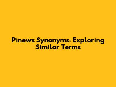 Pinews Synonyms: Exploring Similar Terms