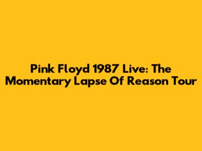 Pink Floyd 1987 Live: The Momentary Lapse Of Reason Tour
