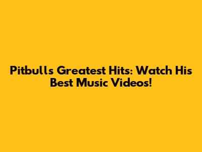 Pitbull's Greatest Hits: Watch His Best Music Videos!