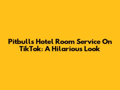 Pitbull's Hotel Room Service On TikTok: A Hilarious Look