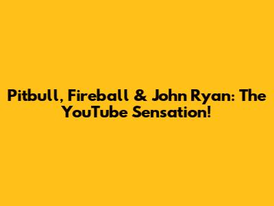 Pitbull, Fireball & John Ryan: The YouTube Sensation!